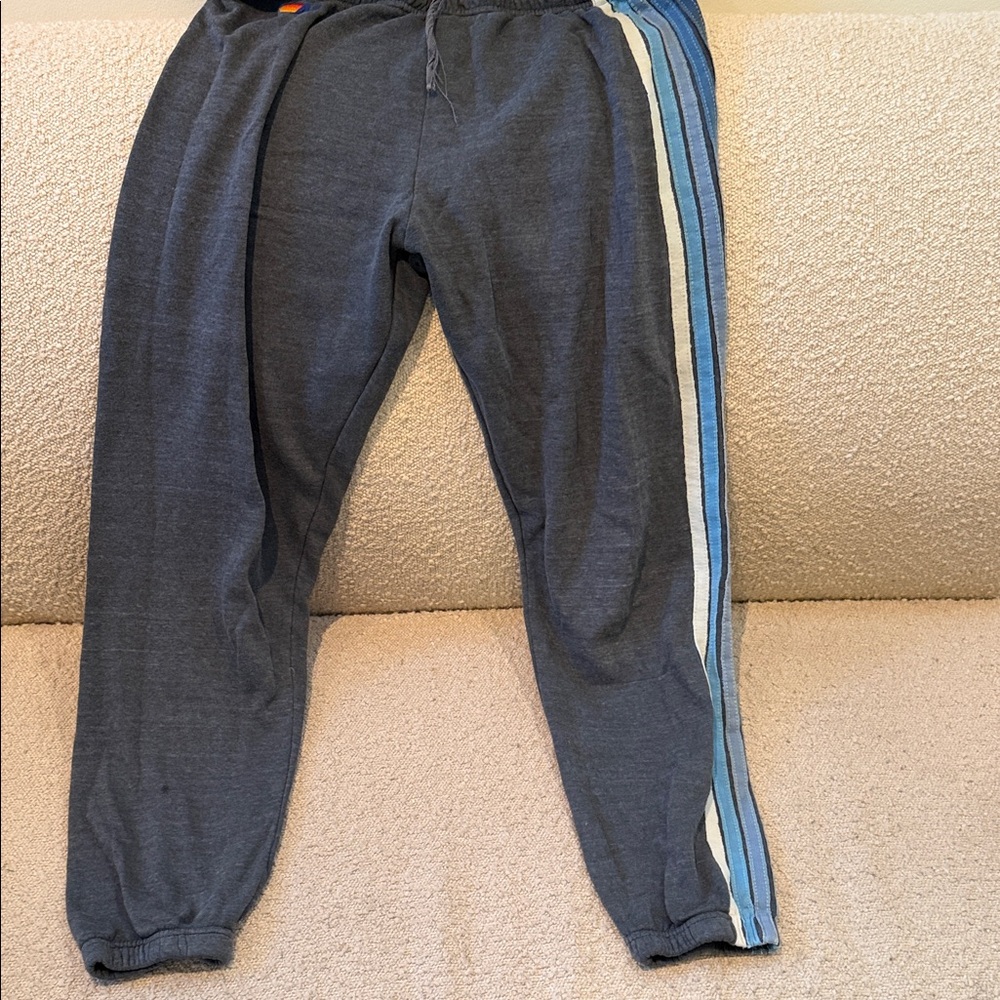 Aviator Nation Gray Joggers with Blue and White Stripes